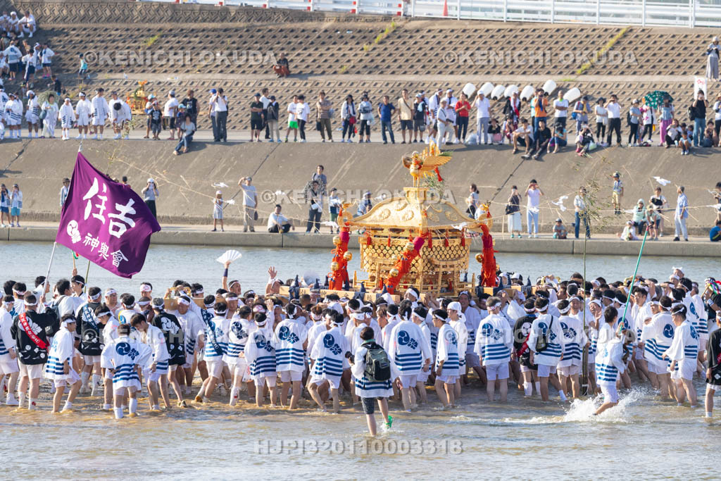 大阪府　住吉祭の神輿渡御　大和川川渡り
