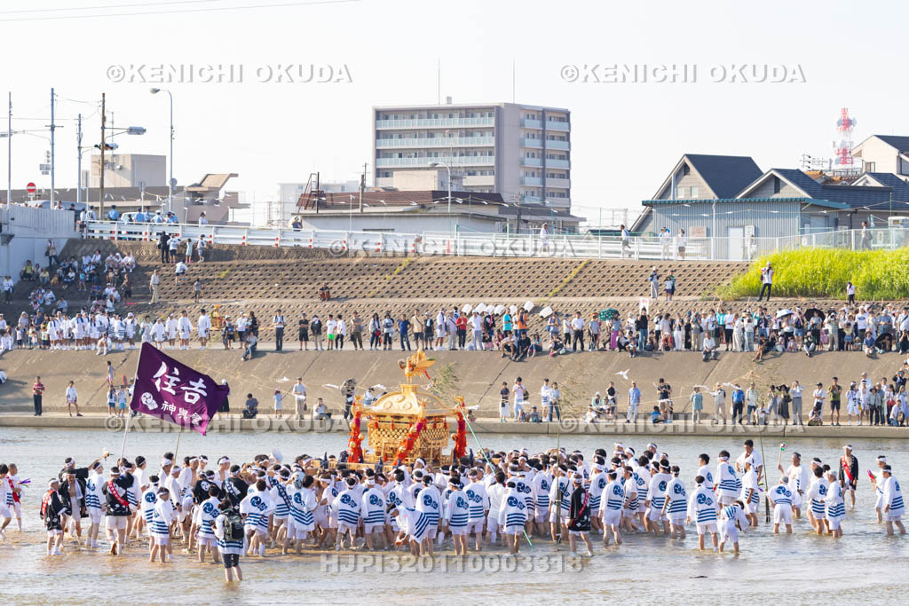 大阪府　住吉祭の神輿渡御　大和川川渡り