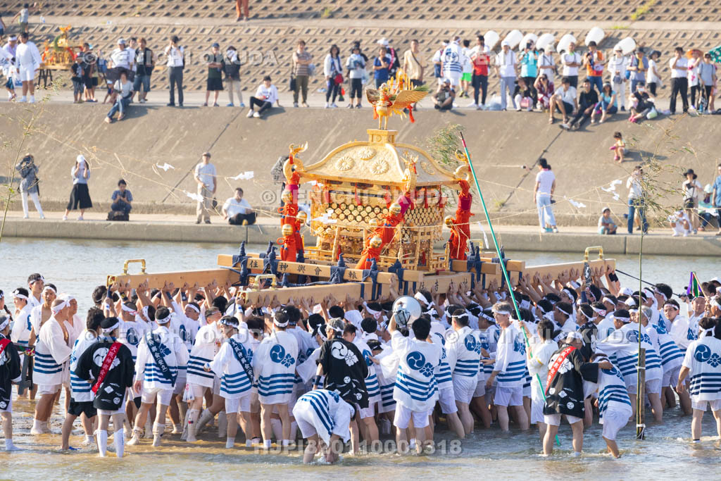 大阪府　住吉祭の神輿渡御　大和川川渡り