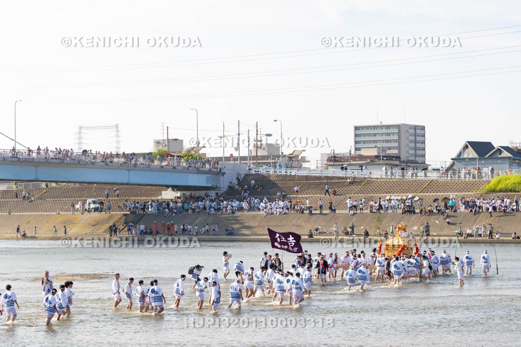 大阪府　住吉祭の神輿渡御　大和川川渡り