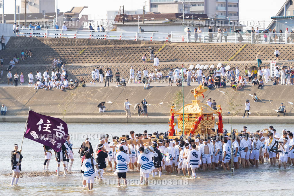 大阪府　住吉祭の神輿渡御　大和川川渡り