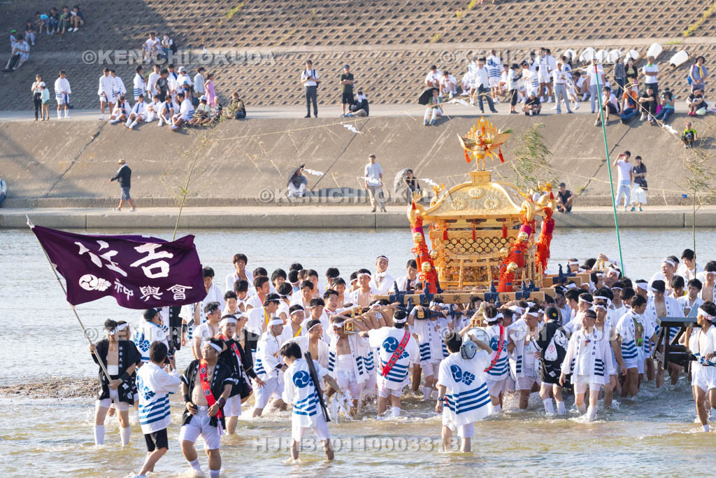 大阪府　住吉祭の神輿渡御　大和川川渡り