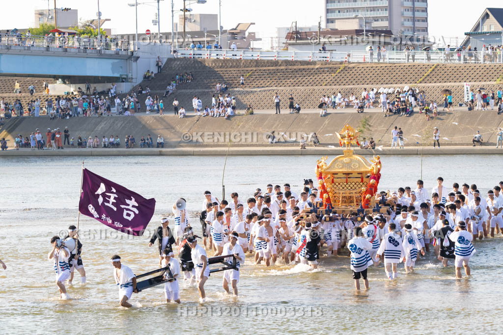 大阪府　住吉祭の神輿渡御　大和川川渡り