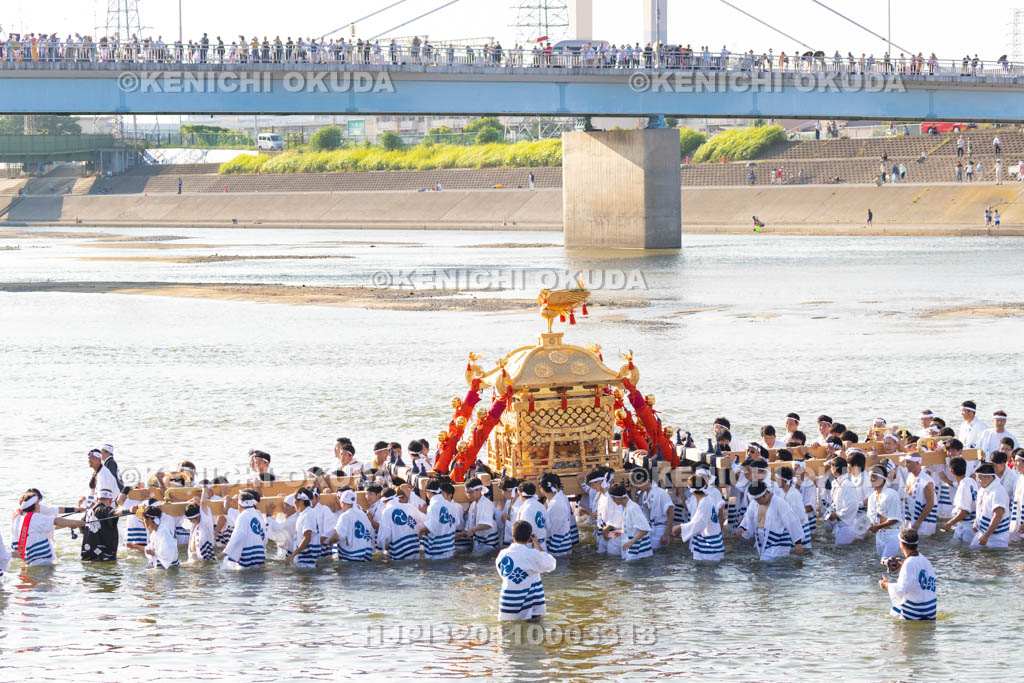 大阪府　住吉祭の神輿渡御　大和川川渡り