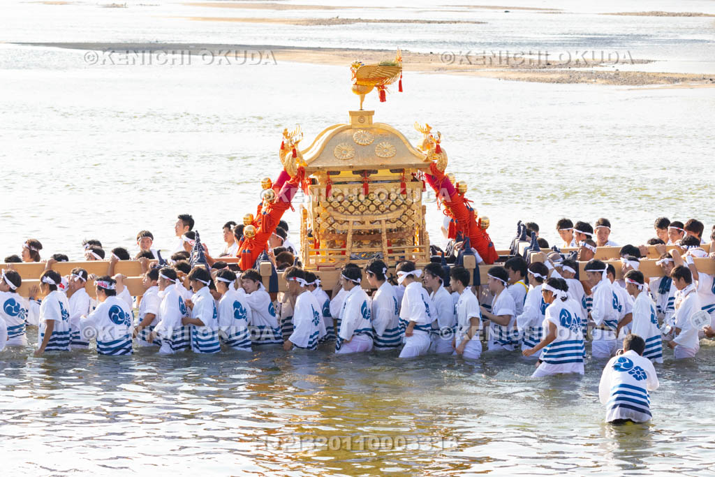 大阪府　住吉祭の神輿渡御　大和川川渡り
