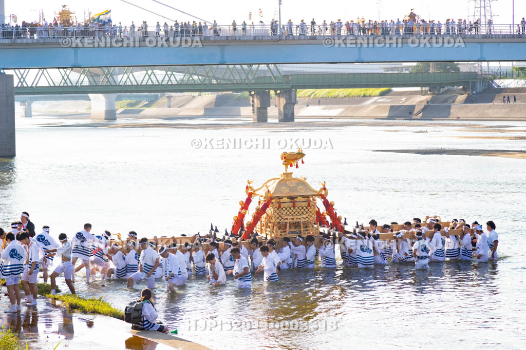 大阪府　住吉祭の神輿渡御　大和川川渡り