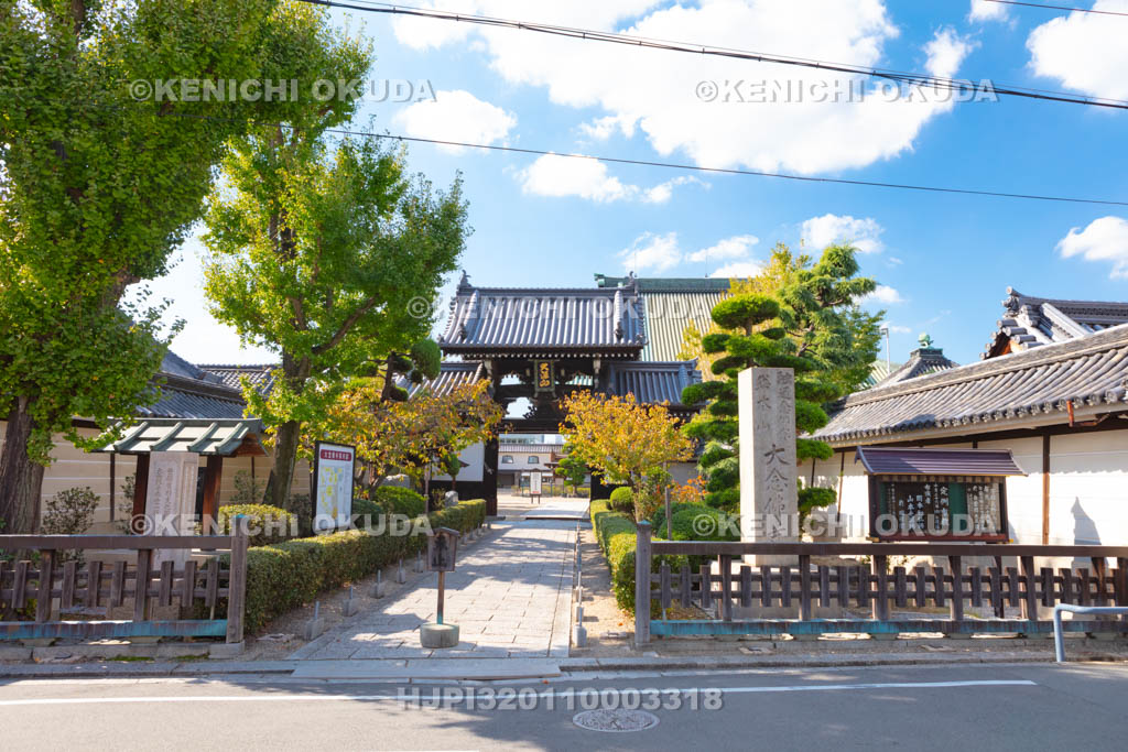 大阪府 大念佛寺の参道