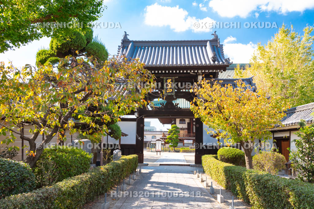 大阪府　大念佛寺の山門