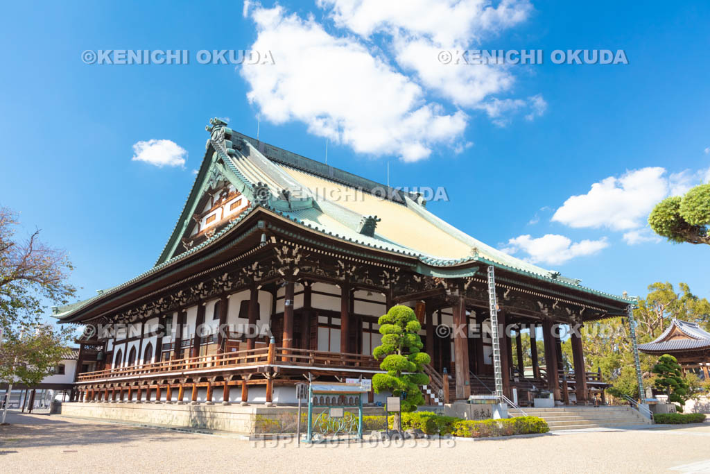 大阪府 大念佛寺の本堂