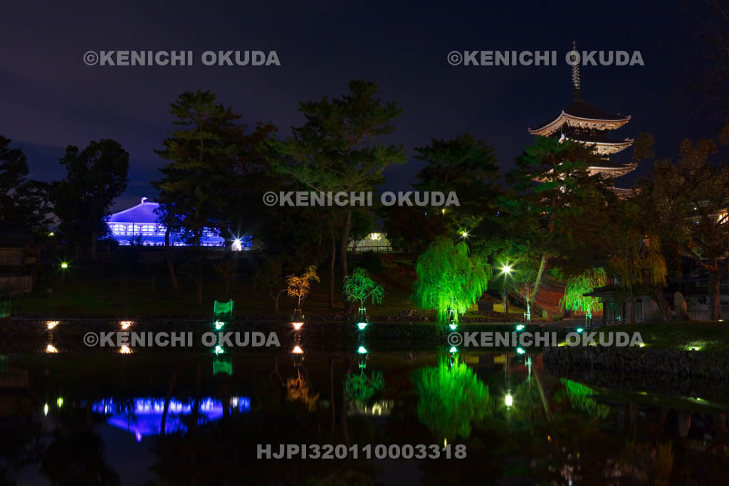 奈良県　興福寺のライトアップと猿沢池