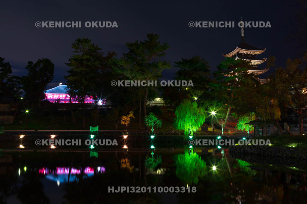 奈良県　興福寺のライトアップと猿沢池