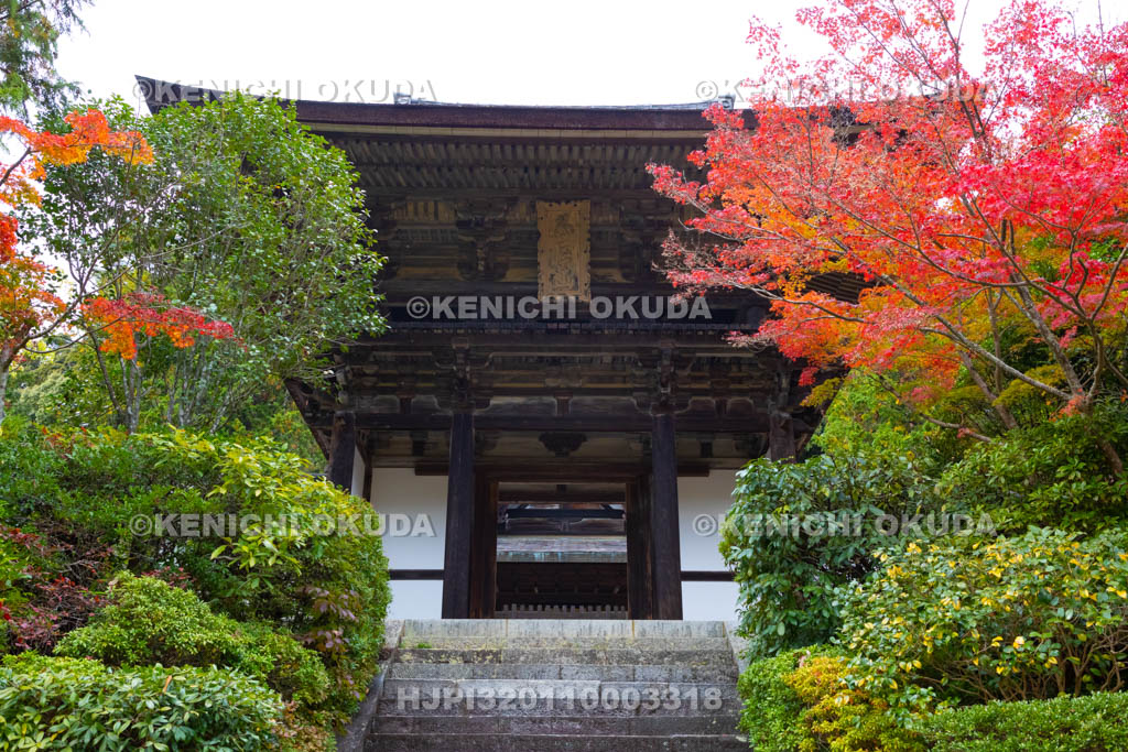 奈良県　円成寺　紅葉と楼門