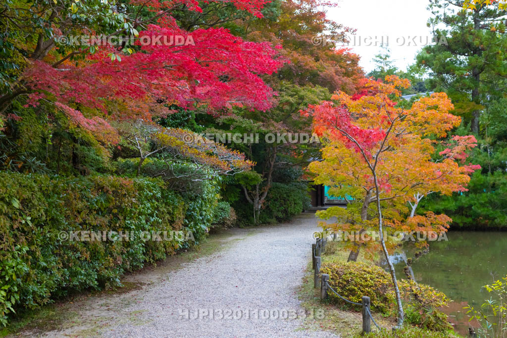 奈良県　円成寺の紅葉　