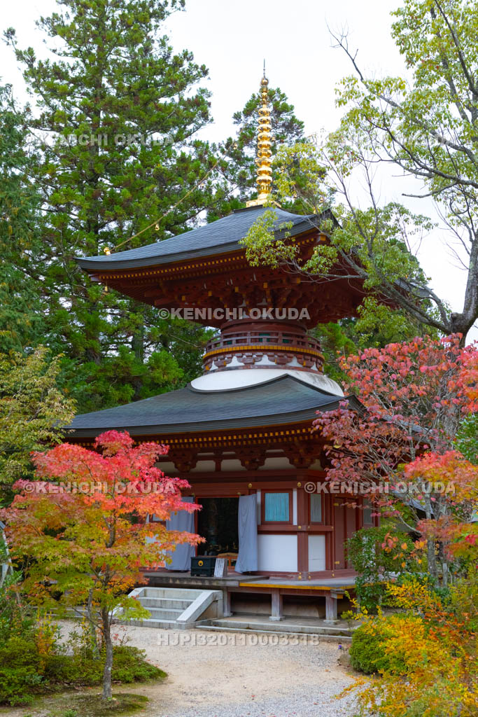 奈良県　円成寺　紅葉と多宝塔