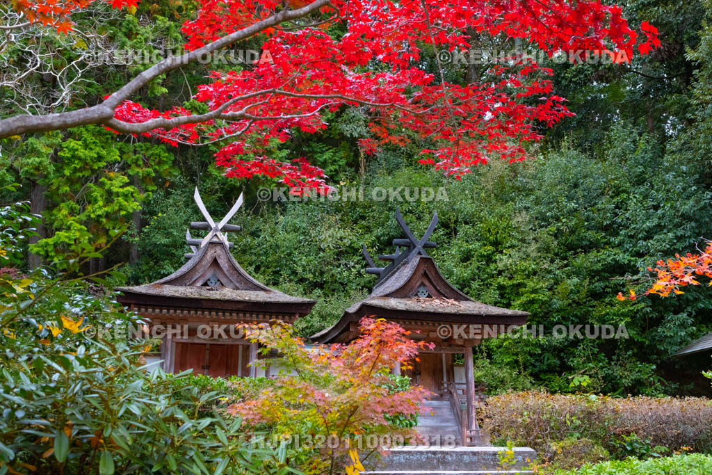奈良県　円成寺　紅葉と鎮守社