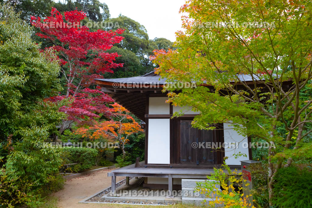 奈良県　円成寺　紅葉と鎮守拝殿