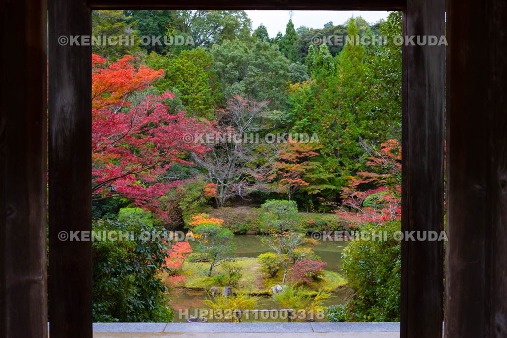 奈良県 円成寺 紅葉の名勝庭園と楼門