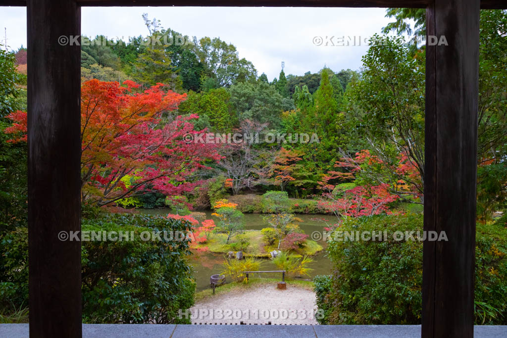 奈良県　円成寺　紅葉の名勝庭園と楼門
