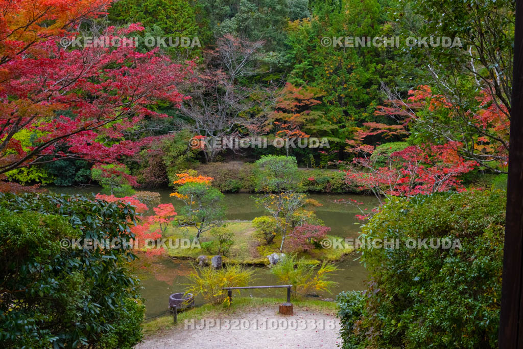奈良県　円成寺　紅葉の名勝庭園