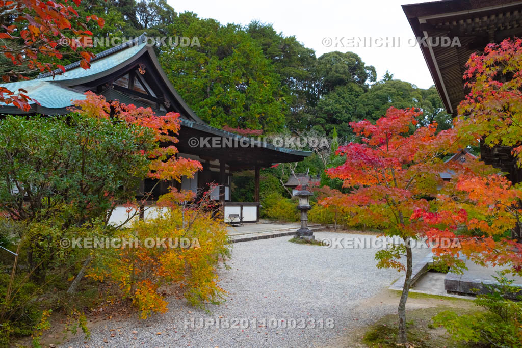 奈良県 円成寺 紅葉と本堂