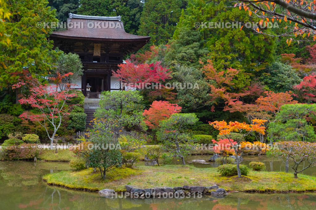 奈良県　円成寺　紅葉の名勝庭園と楼門