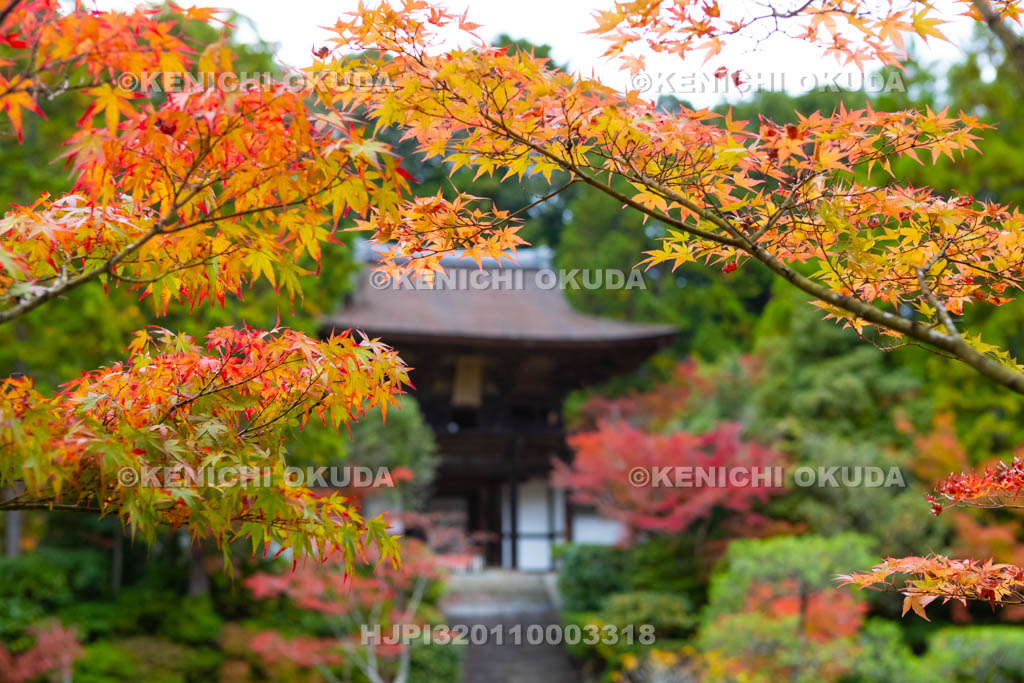 奈良県　円成寺　紅葉と楼門