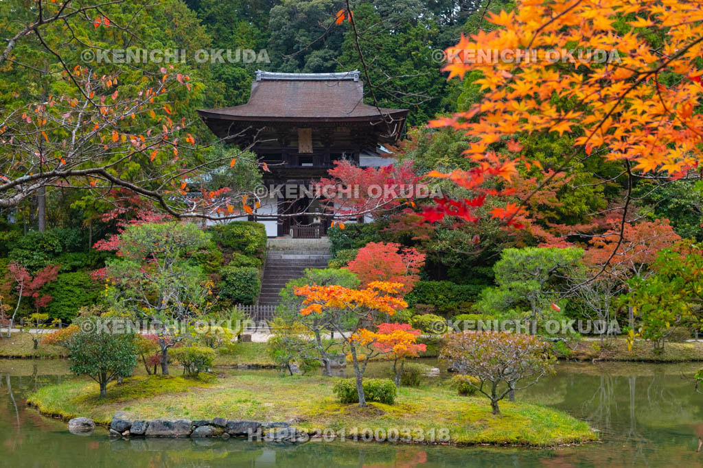 奈良県　円成寺　紅葉の名勝庭園と楼門