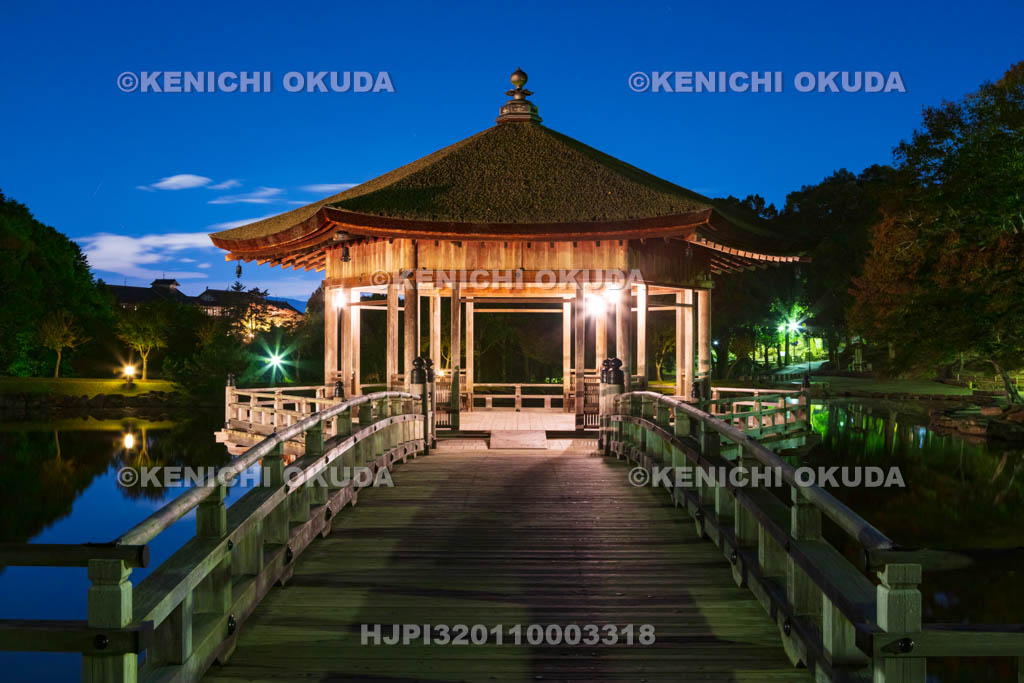 奈良県　ライトアップされた浮見堂