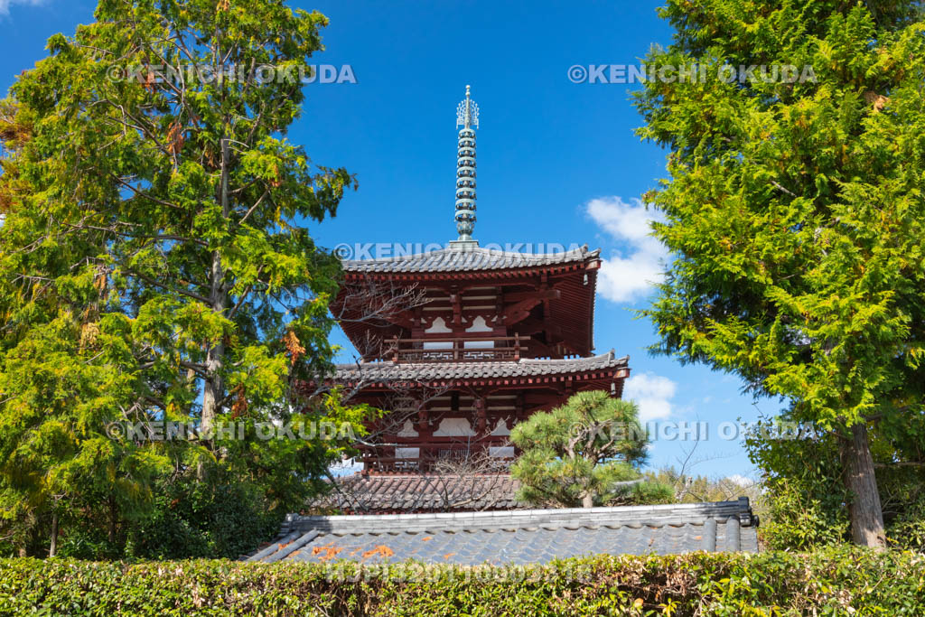 奈良県　法輪寺の三重塔