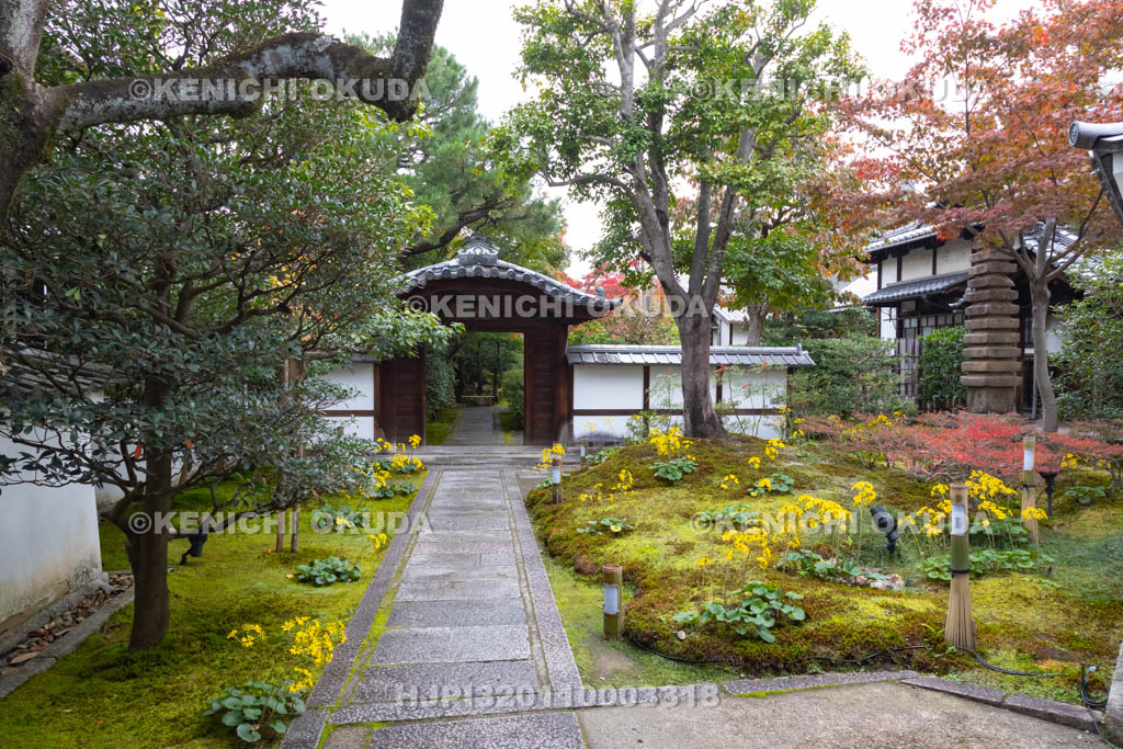 京都府　高台寺　円徳院の唐門付近