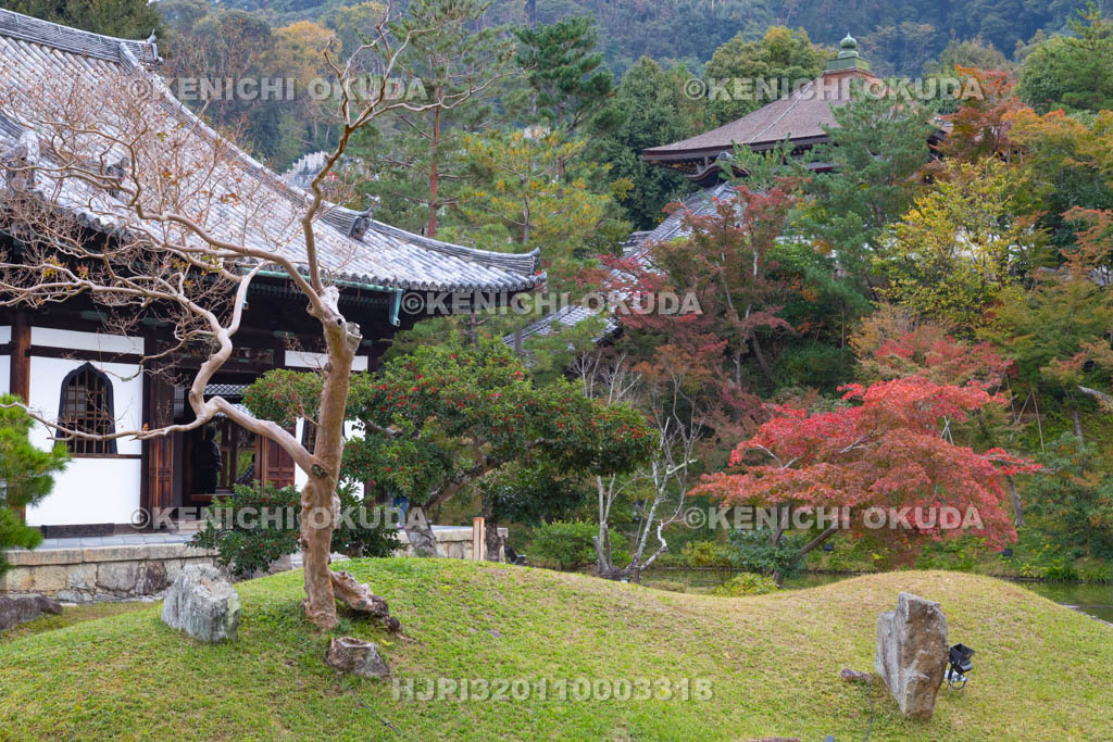 京都府　高台寺　紅葉の庭園
