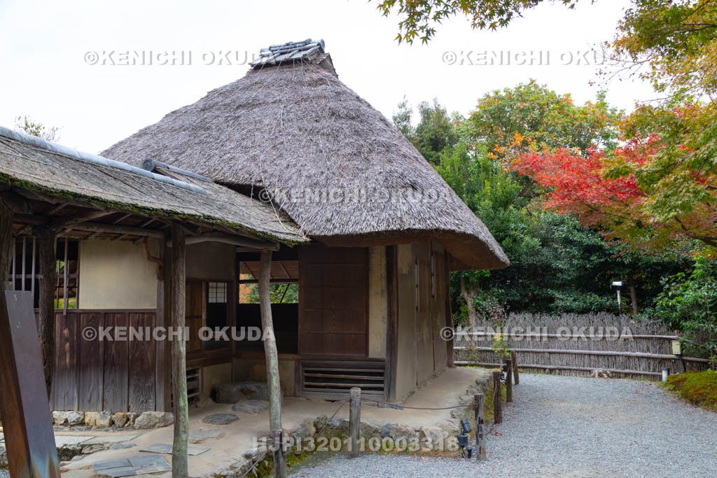 京都府　高台寺　紅葉と傘亭