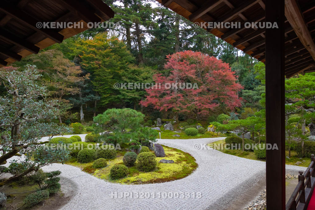 京都府　曼殊院門跡　紅葉の書院庭園