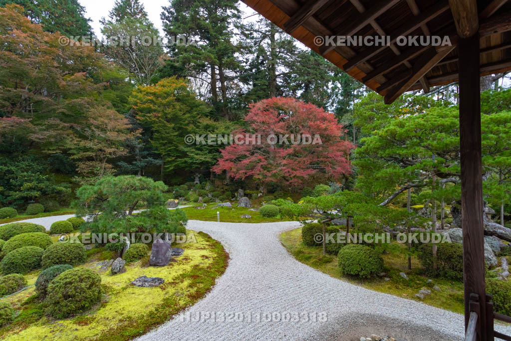 京都府　曼殊院門跡　紅葉の書院庭園