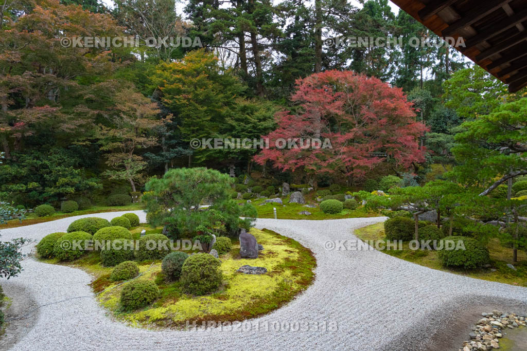 京都府 曼殊院門跡 紅葉の書院庭園