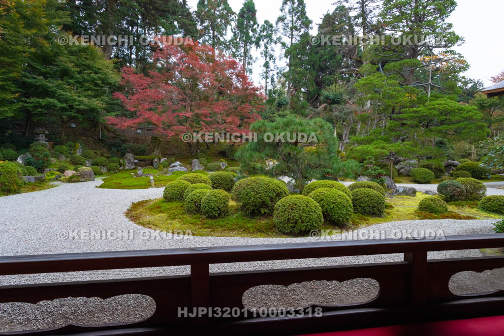 京都府　曼殊院門跡　紅葉の書院庭園