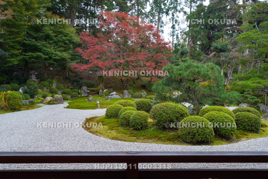 京都府　曼殊院門跡　紅葉の書院庭園