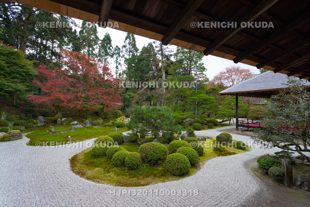 京都府　曼殊院門跡　紅葉の書院庭園