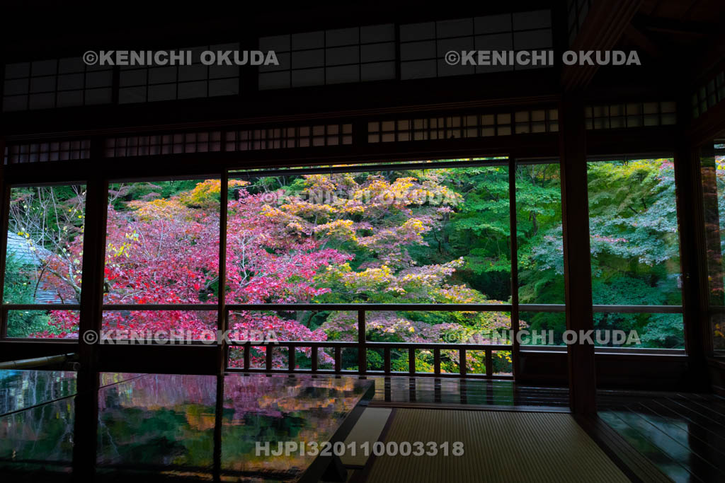 京都府　八瀬瑠璃光院　二階書院から望む紅葉