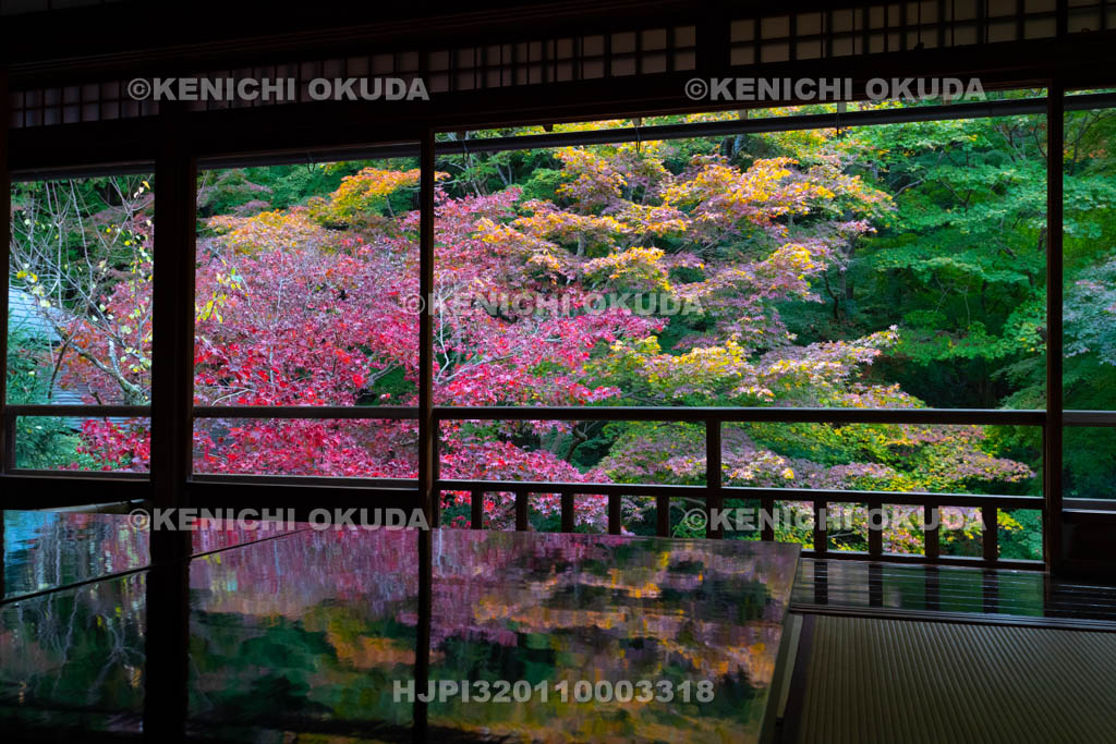 京都府　八瀬瑠璃光院　二階書院から望む紅葉