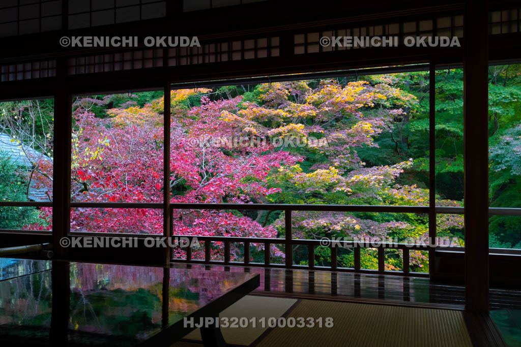 京都府　八瀬瑠璃光院　二階書院から望む紅葉