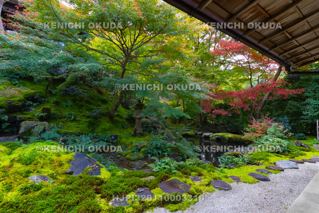 京都府　八瀬瑠璃光院　紅葉と臥龍の庭