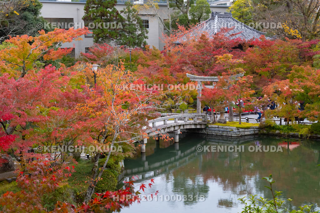 京都府　紅葉の永観堂禅林寺　放生池