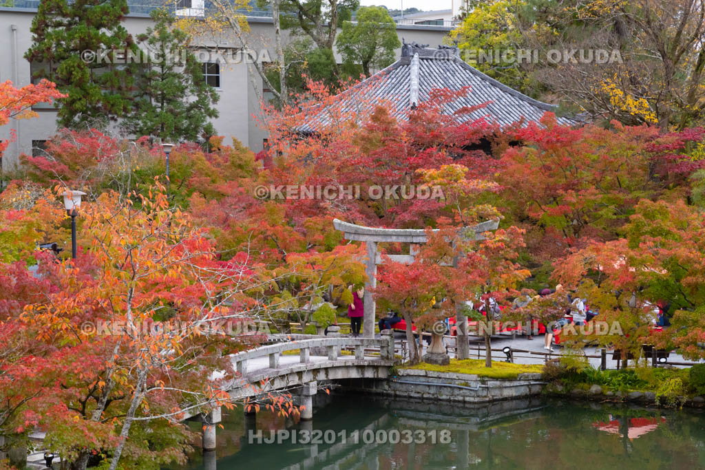 京都府　紅葉の永観堂禅林寺　放生池と画仙堂