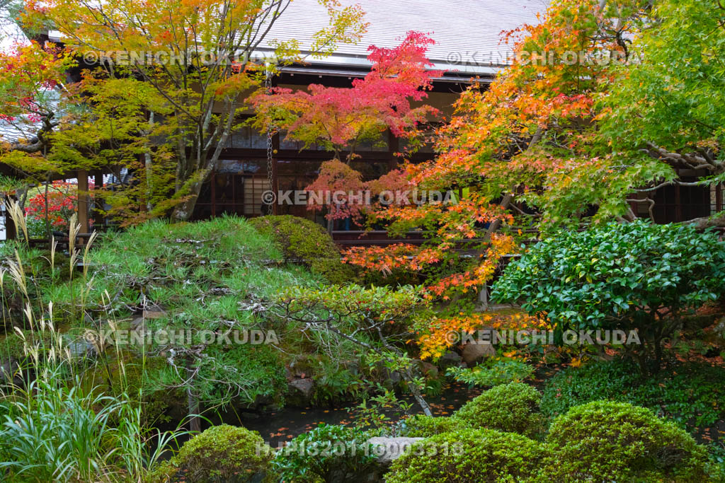 京都府　永観堂禅林寺　紅葉の方丈北庭