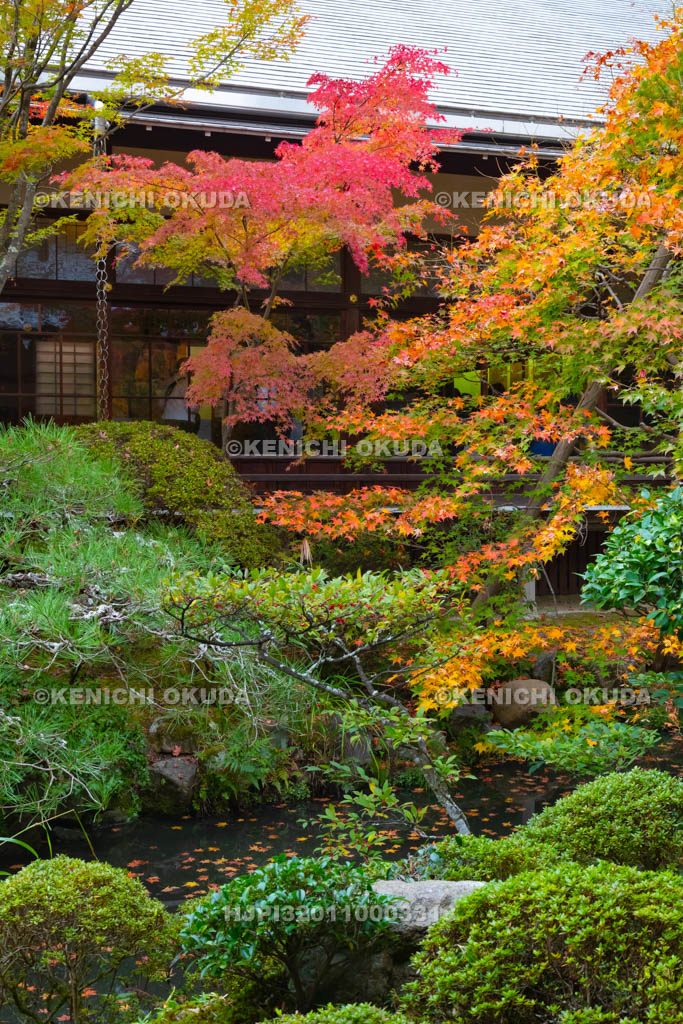 京都府　永観堂禅林寺　紅葉の方丈北庭