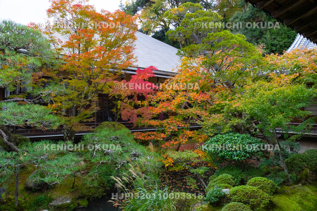 京都府　永観堂禅林寺　紅葉の方丈北庭