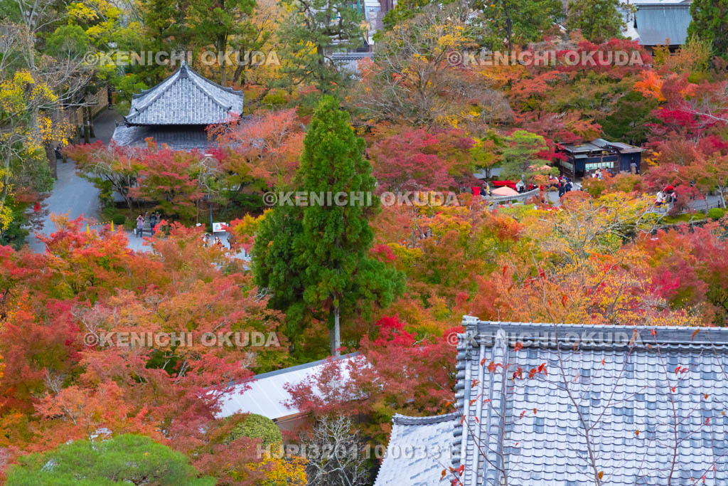 京都府　紅葉の永観堂禅林寺　多宝塔から望む境内