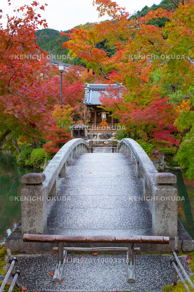 京都府　永観堂禅林寺　紅葉の弁天社