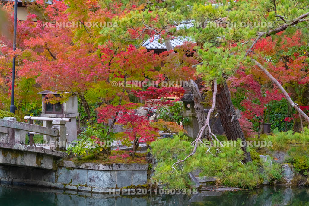 京都府　永観堂禅林寺　紅葉の弁天社